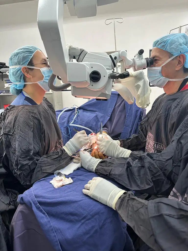 Hospital Militar 2
